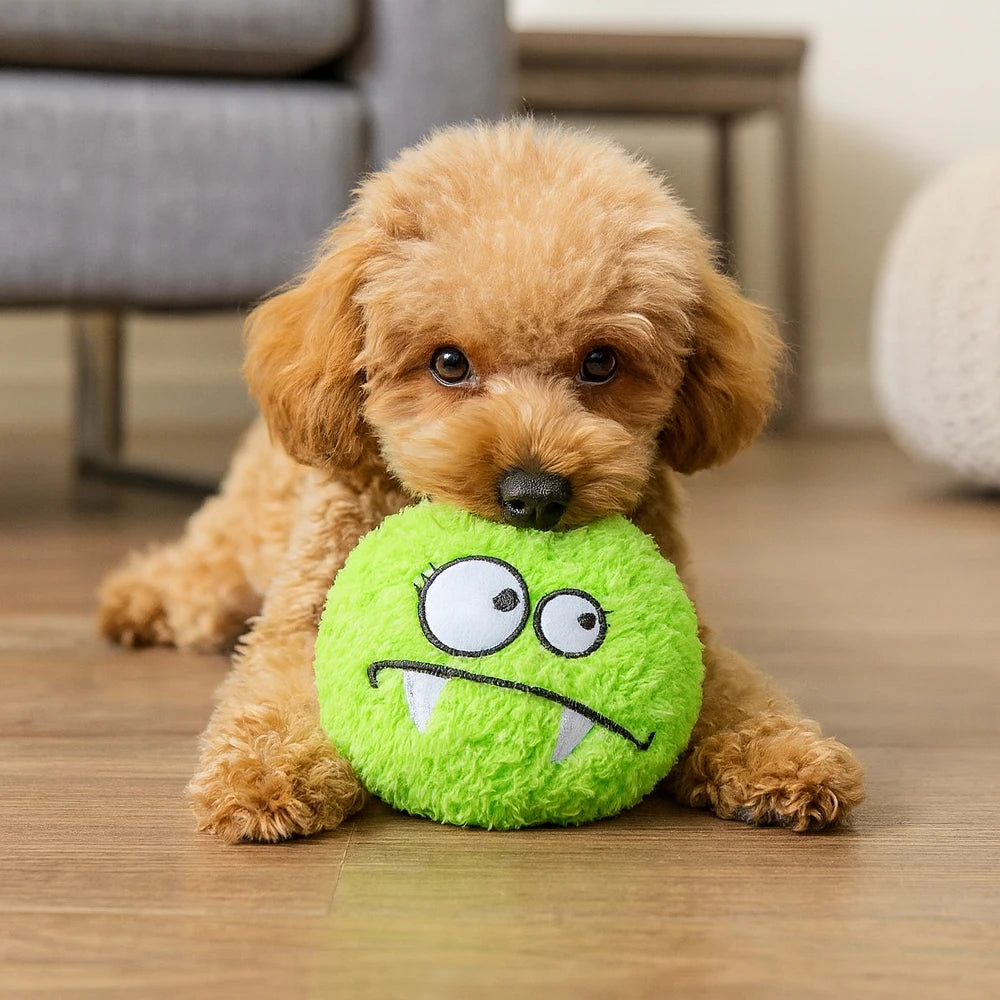 Loopy The Squeaky Plush Dog Toy