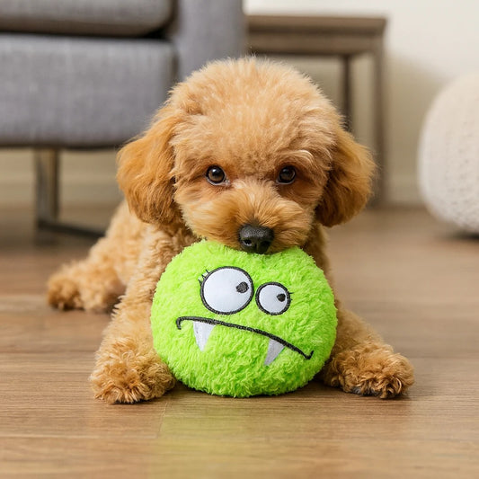 Loopy The Squeaky Plush Dog Toy