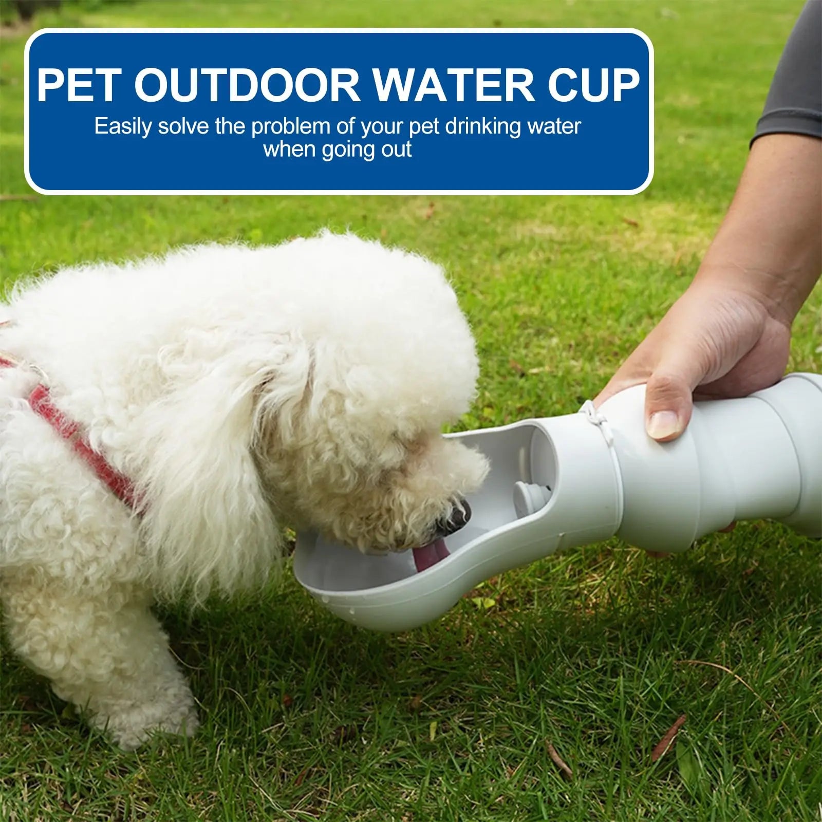 Foldable Dog Water Bottle 550ml – Leak-Proof Travel Water Dispenser