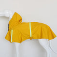 Load image into Gallery viewer, Waterproof Raincoat with Hood and Reflective Details for those Big Adventures Outdoors
