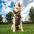 Load image into Gallery viewer, Marvel Superhero Dog Harness (Medium/Large)
