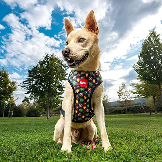 Marvel Superhero Dog Harness (Medium/Large)